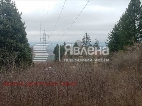 ������ ������� ������