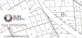 ����� ������� ������,���� �����, ���������