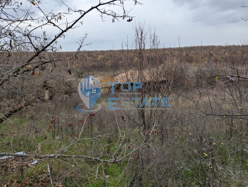 Продава КЪЩА, с. Балканци, област Велико Търново, снимка 5 - Къщи - 53260914