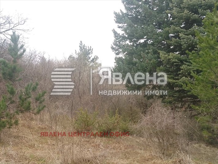 Продава ПАРЦЕЛ, гр. София, с. Лозен, снимка 5 - Парцели - 54129845