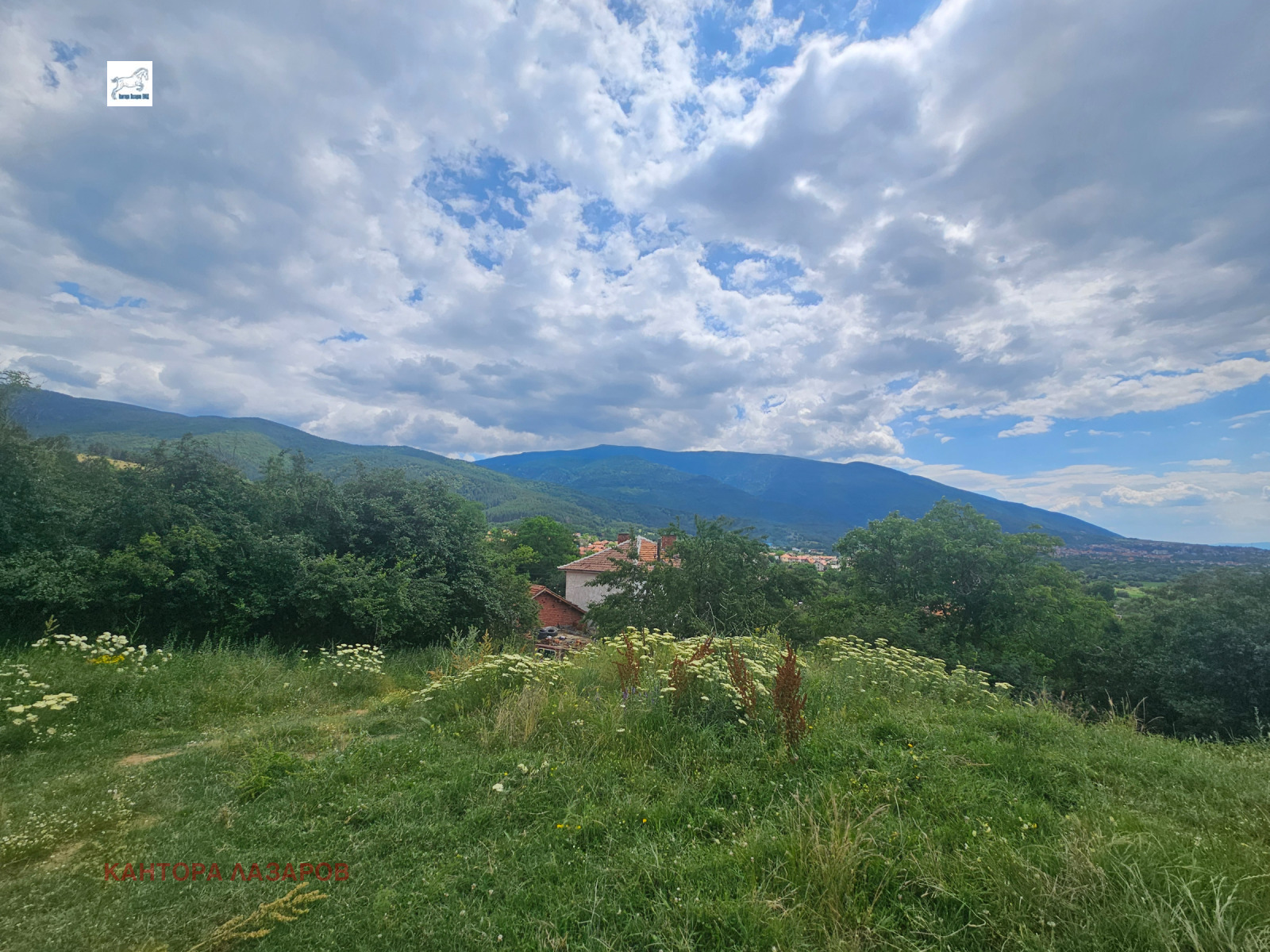 Продава ПАРЦЕЛ, с. Сапарево, област Кюстендил, снимка 2 - Парцели - 54971724
