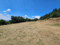 Продава ПАРЦЕЛ, с. Сапарево, област Кюстендил, снимка 2
