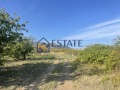 Продава ЗЕМЕДЕЛСКА ЗЕМЯ, с. Брестник, област Пловдив, снимка 1