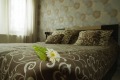 Продава КЪЩА, област Пазарджик, гр. Пещера • 240000 € / 469399.20 лв. • 92300017 7