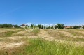 Продава ПАРЦЕЛ, област Варна, с. Здравец • 550000 € • 54359375 — Holmes.bg