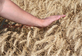 ������� ������ | Imot.bg � ����� ������ 2