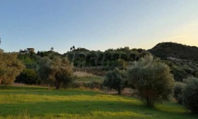 ������� ������ | Imot.bg � ����� ������ 8