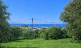 ПАРЦЕЛ, 3 778 m2