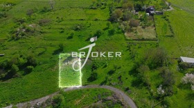 ����� ������� ������,���� ��������, ������>