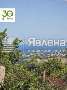 ����� ������� ������,�. ������� ������������, ������ �����