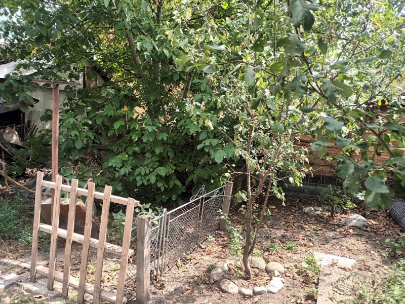 Продава КЪЩА, гр. Велинград, област Пазарджик, снимка 11 - Къщи - 52623392