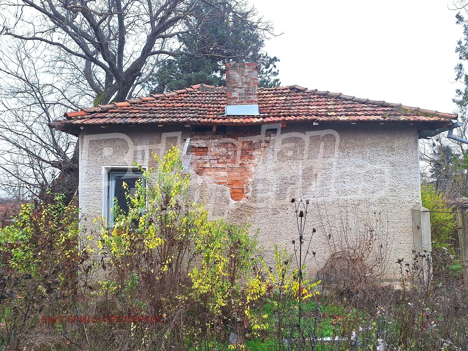 Продава КЪЩА, с. Сушица, област Велико Търново, снимка 12 - Къщи - 54606440