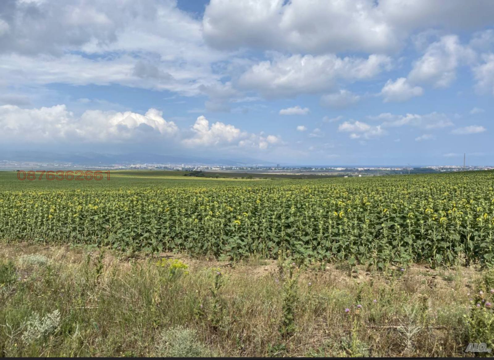 Продава ПАРЦЕЛ, с. Оризаре, област Бургас, снимка 3 - Парцели - 54126173