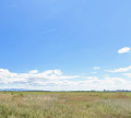Продава ПАРЦЕЛ, гр. София, с. Волуяк, снимка 1