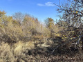 Продава ПАРЦЕЛ, с. Брестник, област Пловдив, снимка 3