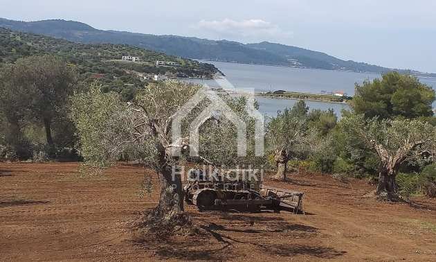 ������� ������ | Imot.bg � ����������� 10