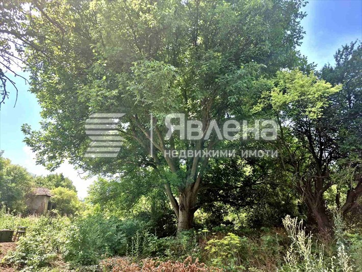 ������� ������ | Imot.bg � ����������� 2