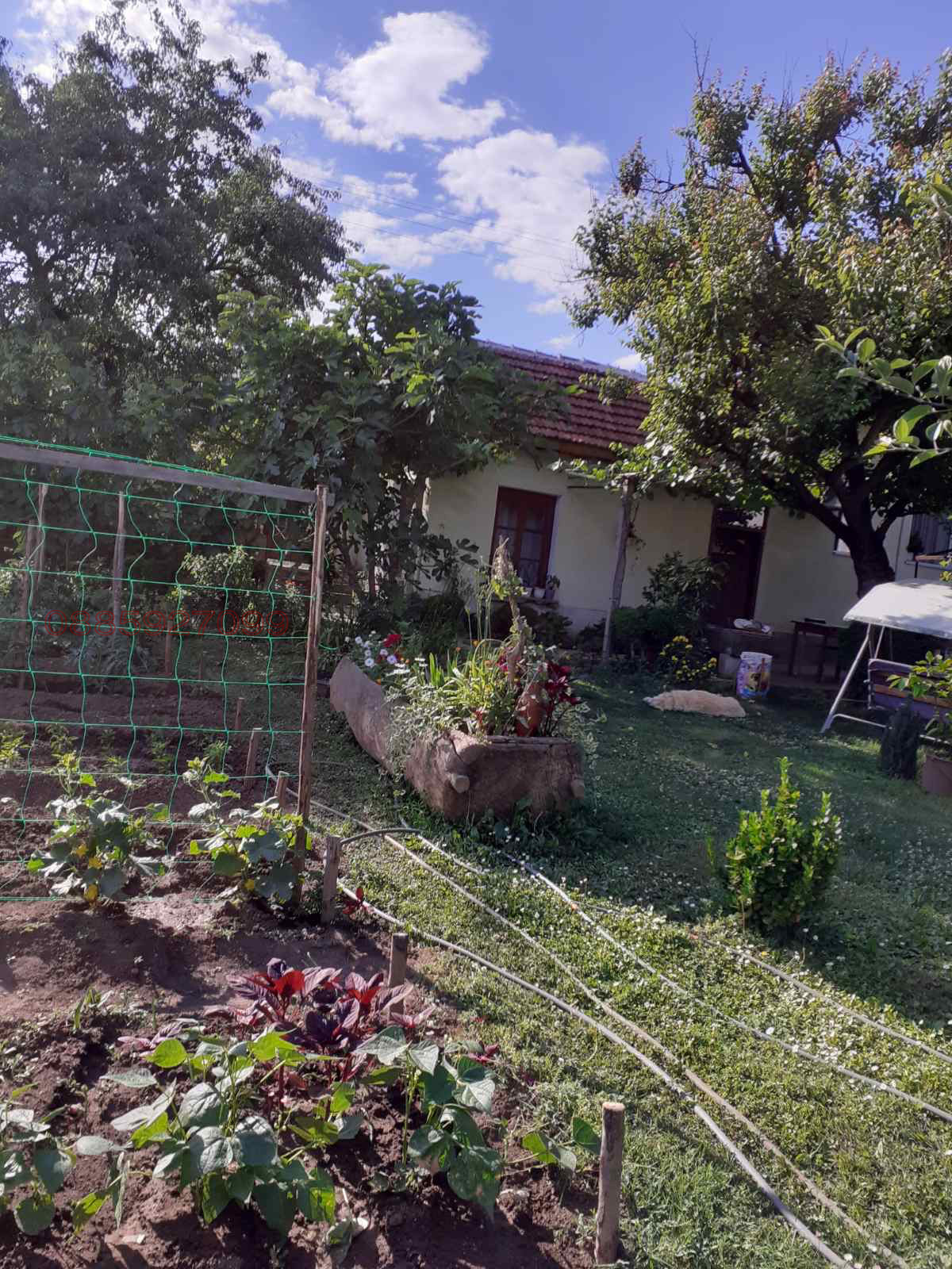 ������� ���� | Imot.bg � ����������� 5