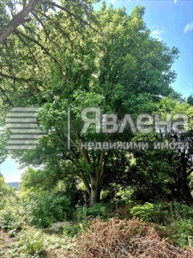 ������� ������ | Imot.bg � ����� ������ 3