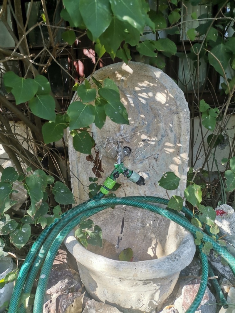 Til salg  Hus region Burgas , Sozopol , 320 kvm | 92148195 - billede [8]