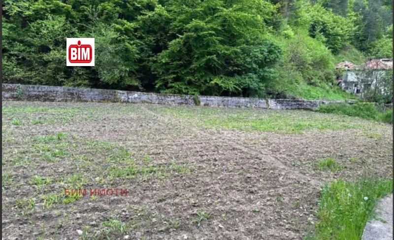 Продава КЪЩА, с. Лясково, област Смолян, снимка 9 - Къщи - 53448476