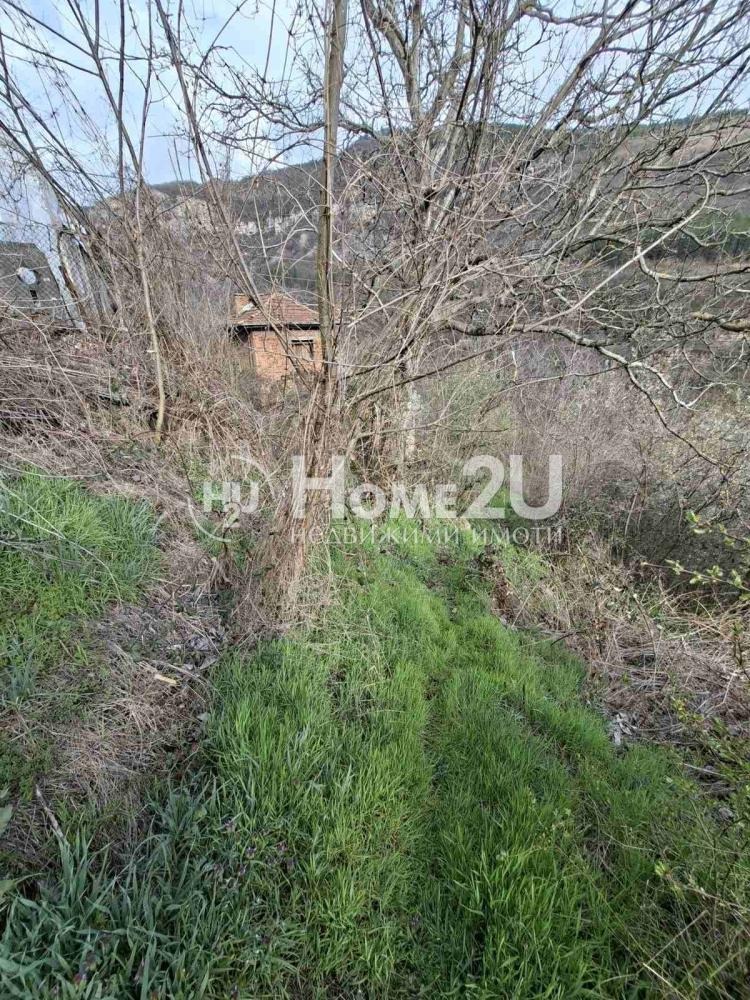 Продава ПАРЦЕЛ, с. Церово, област София област, снимка 2 - Парцели - 55991427