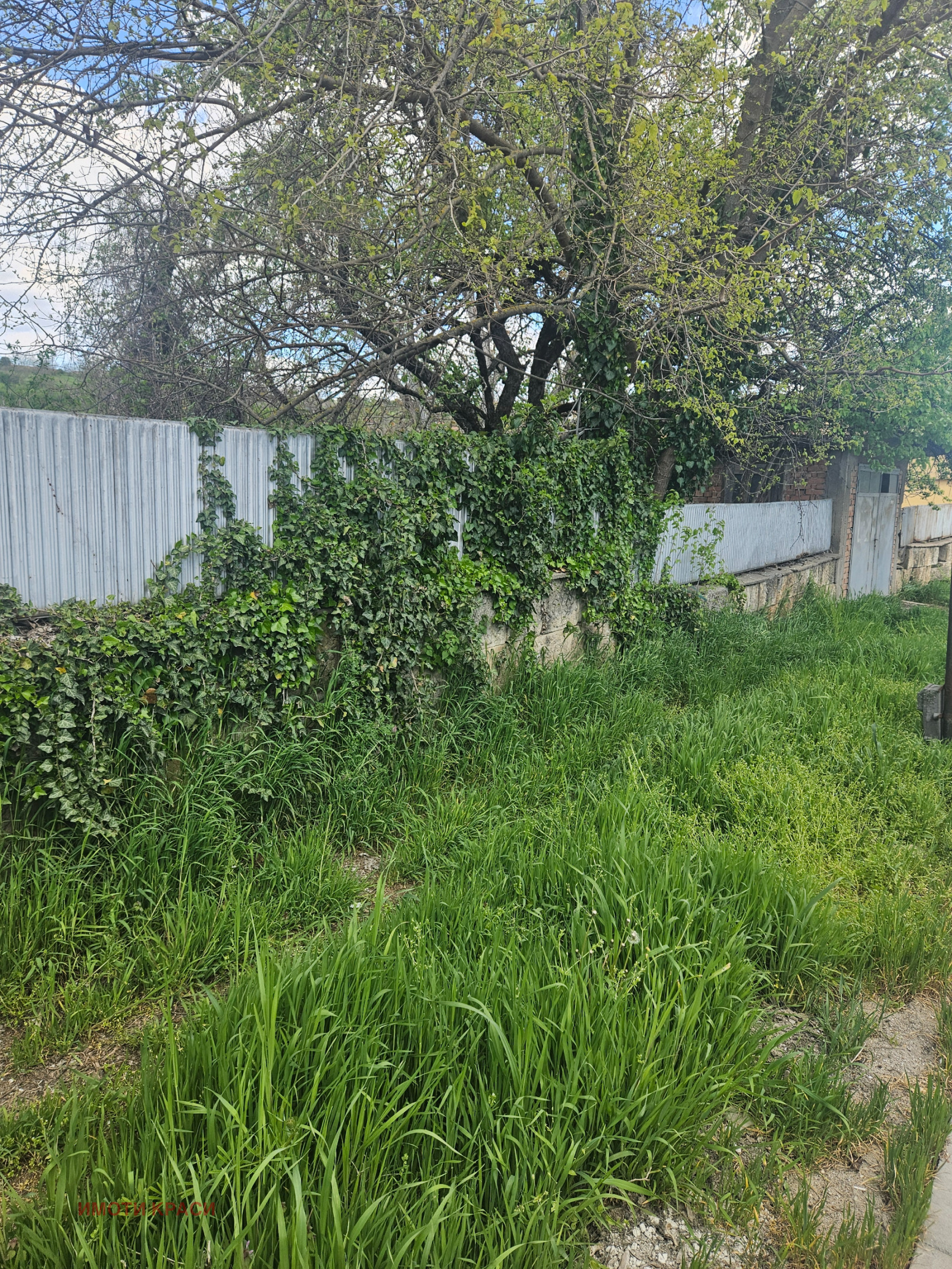 Продава КЪЩА, с. Пиргово, област Русе, снимка 3 - Къщи - 54261784