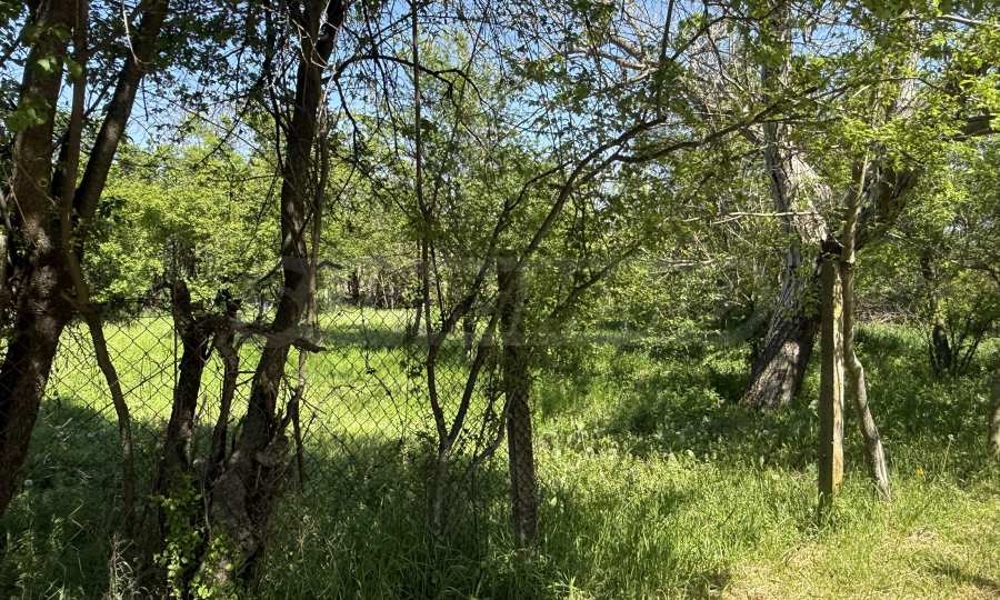 Продава ПАРЦЕЛ, с. Козаревец, област Велико Търново, снимка 2 - Парцели - 50018475