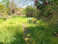 Продава КЪЩА, с. Драгана, област Ловеч, снимка 8