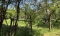 Продава ПАРЦЕЛ, с. Козаревец, област Велико Търново, снимка 2