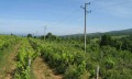 Продава ПАРЦЕЛ, с. Баня, област Бургас, снимка 1