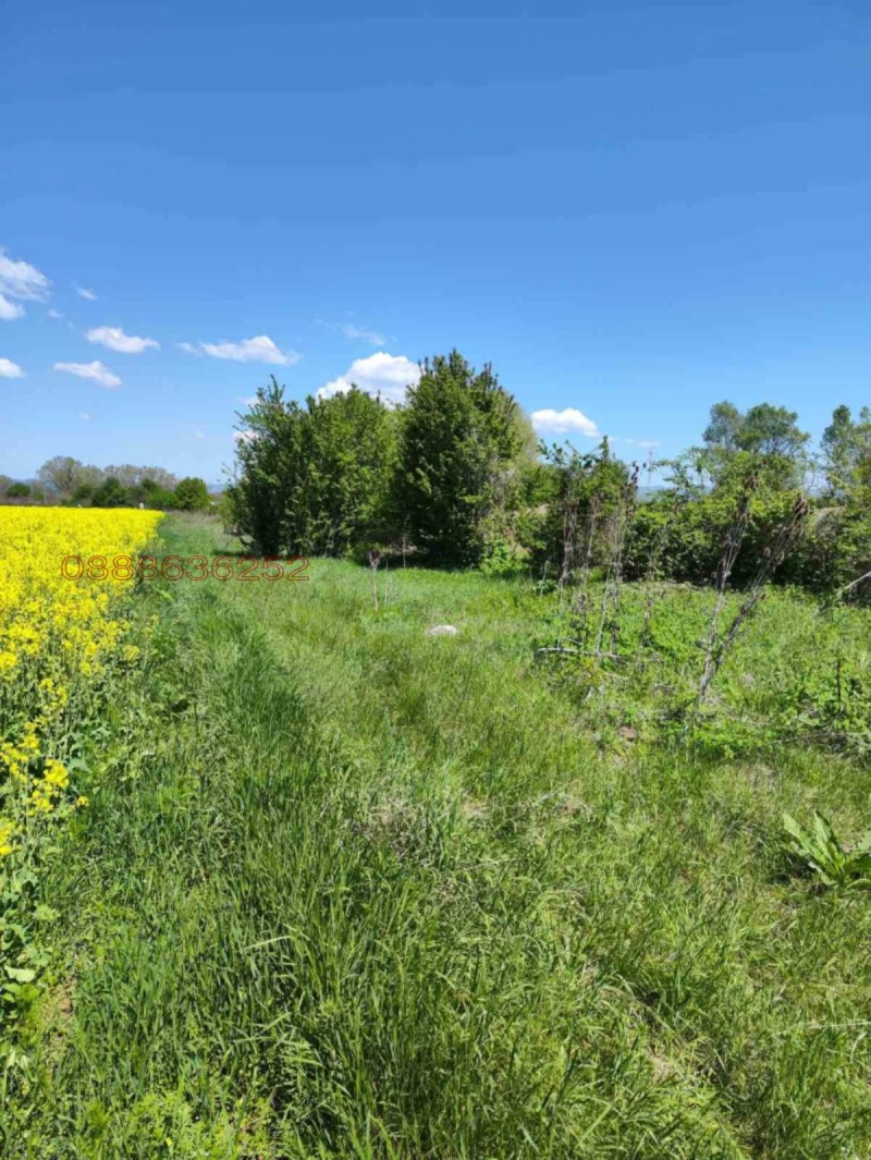 Продава ПАРЦЕЛ, гр. София, Бенковски, снимка 2 - Парцели - 53270891