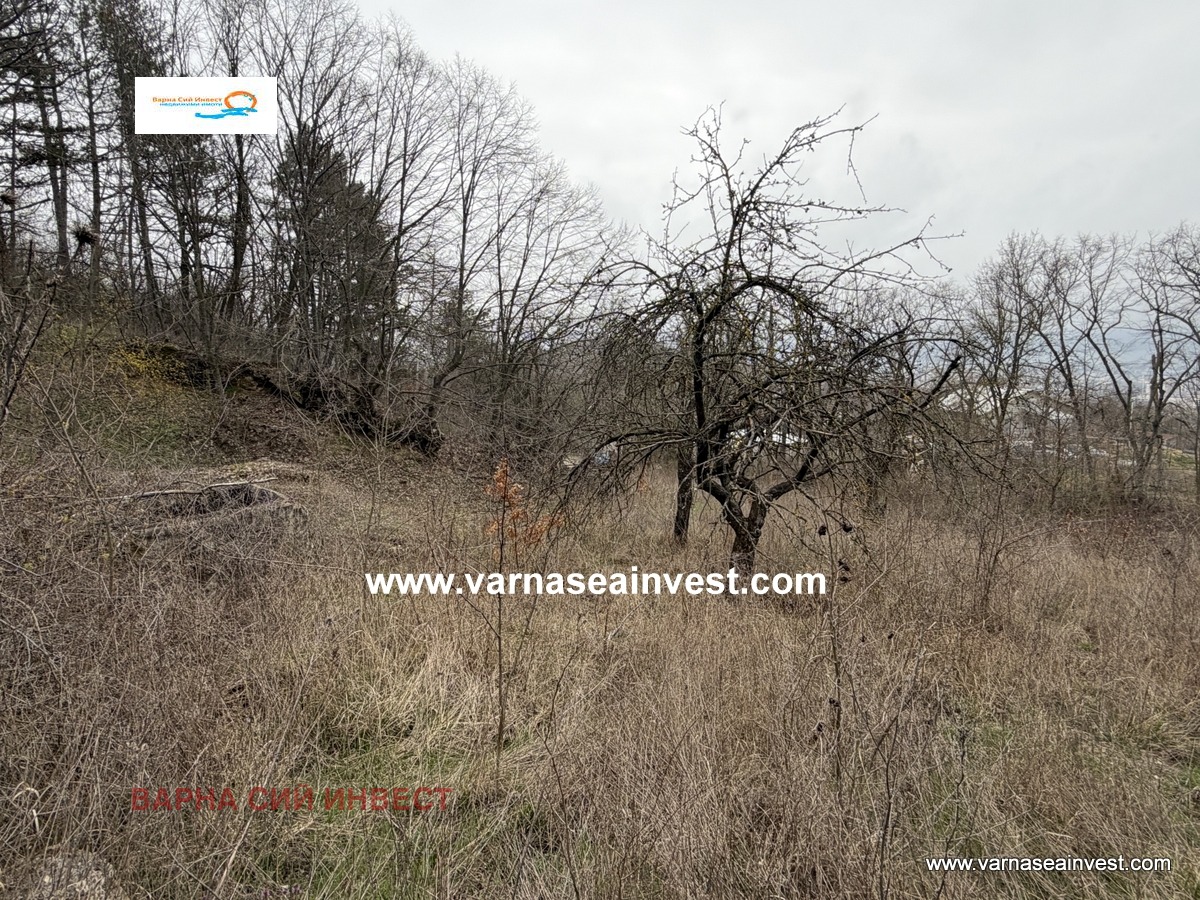 ������� ������ | Imot.bg � ����������� 4