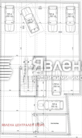 ����� ������� �����,���� �����, ����� �������