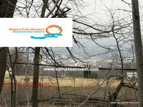 ����� ������� ������,���� �����, �-� �������