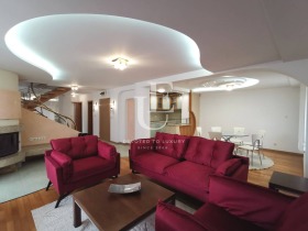 ����� ������� ����������,���� �����, �������