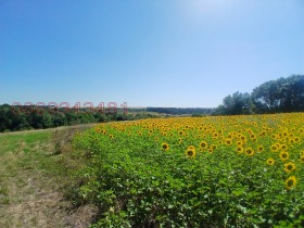 ������� ������ | Imot.bg � ����� ������ 4