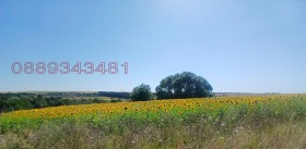 ������� ������ | Imot.bg � ����� ������ 2