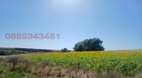 ������� ������ | Imot.bg � ����� ������ 8