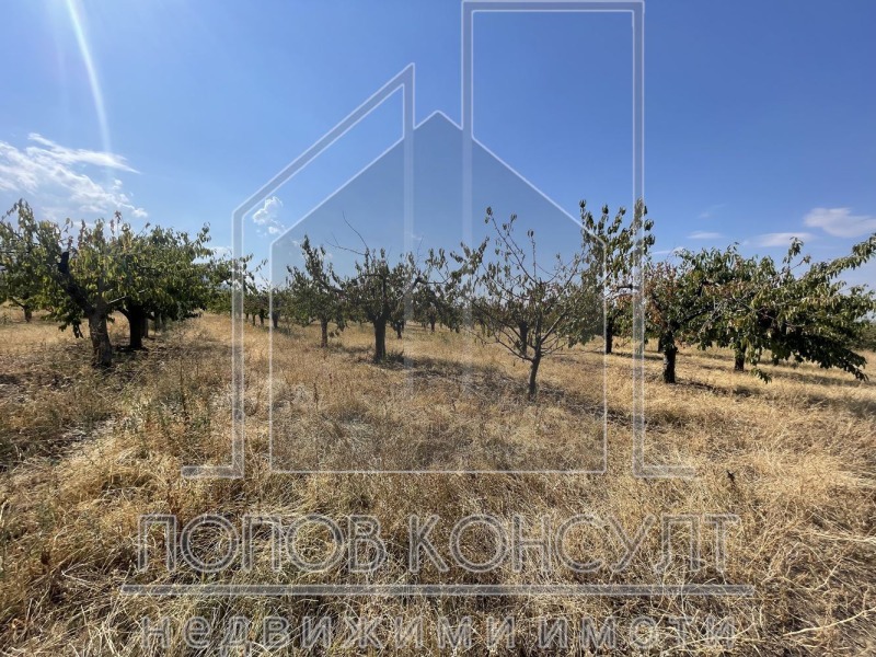 Satılık  Komplo bölge Filibe , Brestnik , 1799 metrekare | 67076973 - görüntü [2]