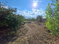 Продава  Парцел област Пазарджик , с. Огняново , 1165 кв.м | 30285364 - изображение [6]