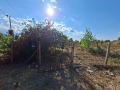 Продава  Парцел област Пазарджик , с. Огняново , 1165 кв.м | 30285364 - изображение [7]