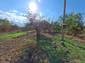 Продава  Парцел област Пазарджик , с. Огняново , 1165 кв.м | 30285364 - изображение [2]