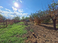 Продава  Парцел област Пазарджик , с. Огняново , 1165 кв.м | 30285364