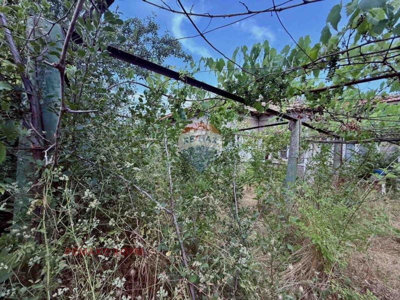 De vânzare  Complot regiunea Dobrich , Gurcovo , 1319 mp | 13469208 - imagine [3]