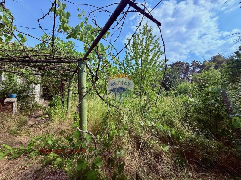 De vânzare  Complot regiunea Dobrich , Gurcovo , 1319 mp | 13469208 - imagine [5]