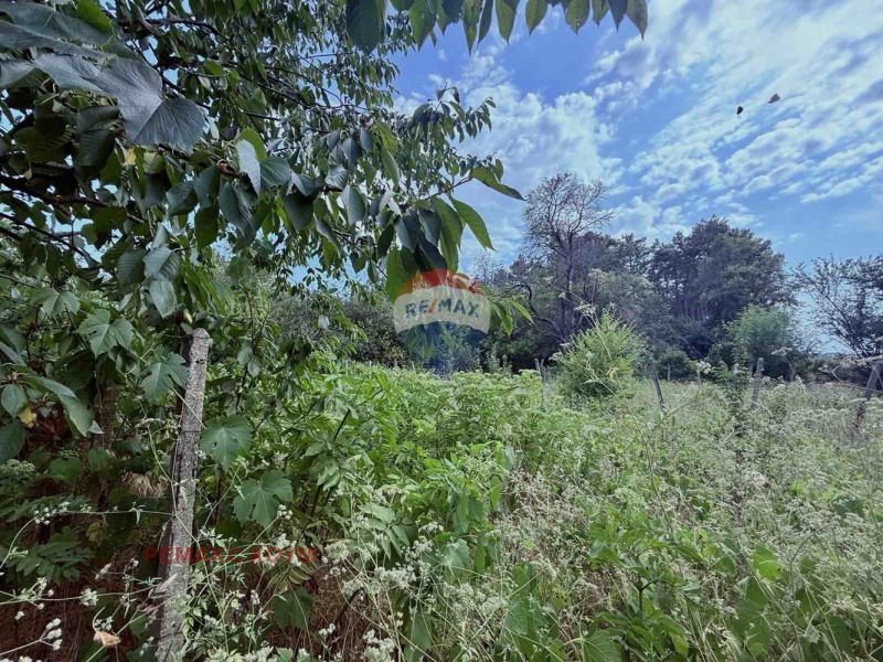 De vânzare  Complot regiunea Dobrich , Gurcovo , 1319 mp | 13469208 - imagine [7]