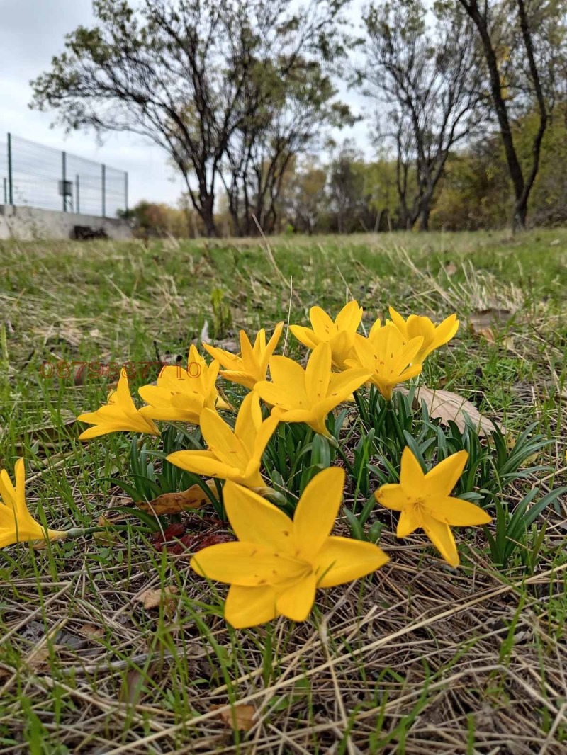 Продава КЪЩА, с. Марково, област Пловдив, снимка 4 - Къщи - 52955549