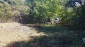 Продава ПАРЦЕЛ, гр. София, с. Кокаляне, снимка 3