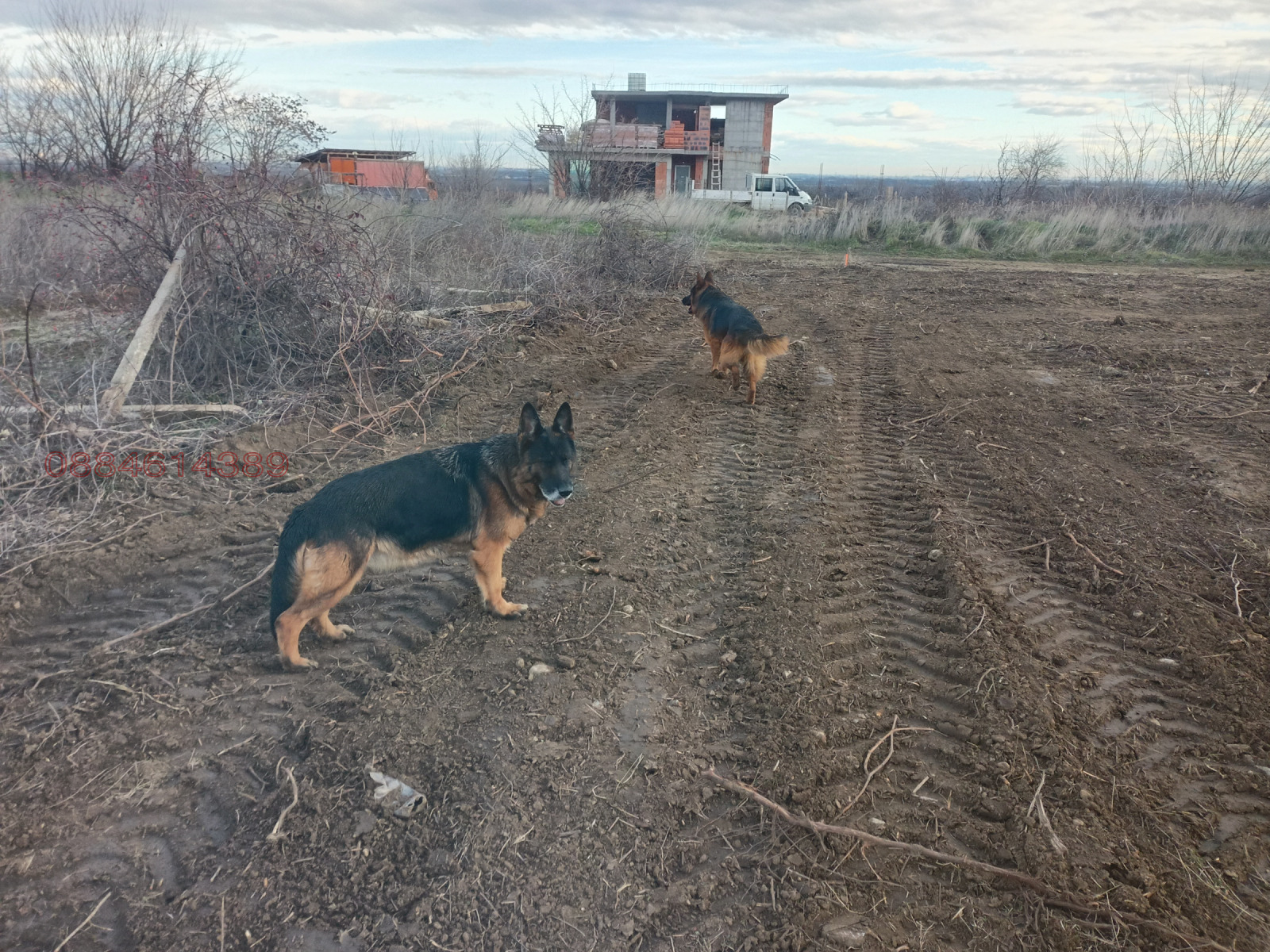 ������� ���������� ���� | Imot.bg � ����������� 6